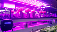 Advanticsys Greenhouses monitoring and control solutions at International Fair in Chile