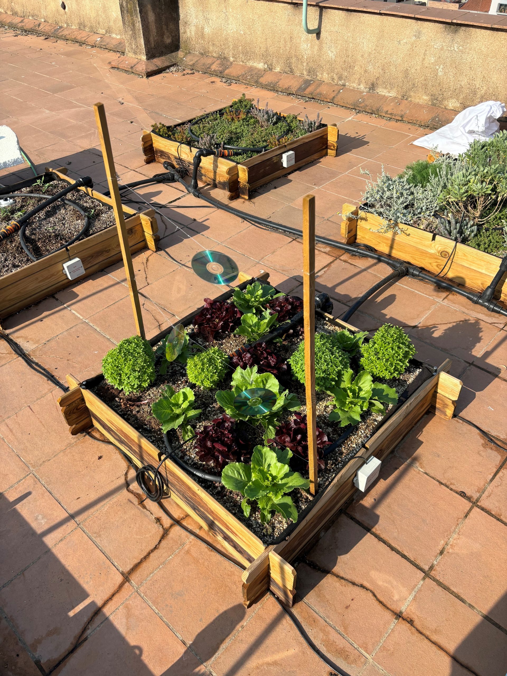 Green roof testbed