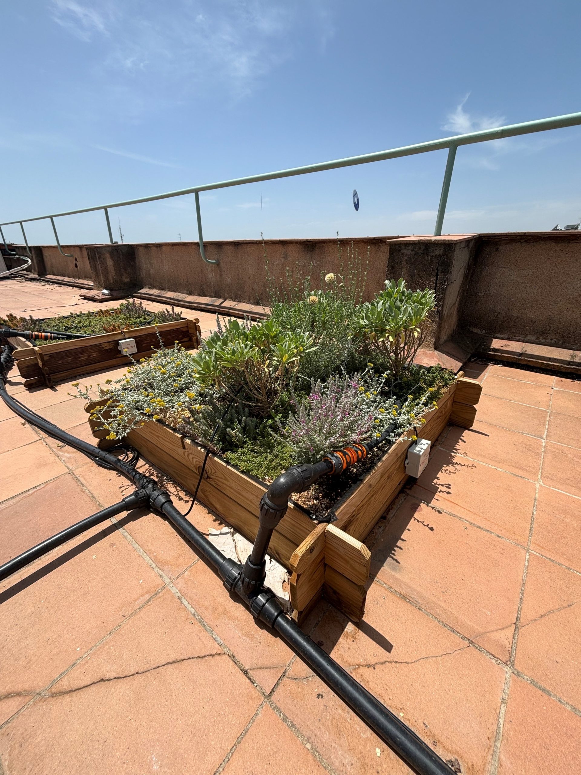 Green roof testbed